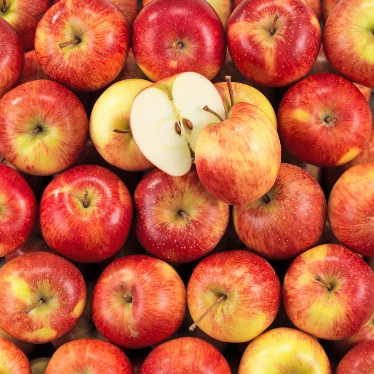 La Pomme Juliet BIO