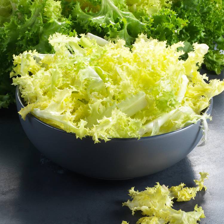 Le Cœur de frisée