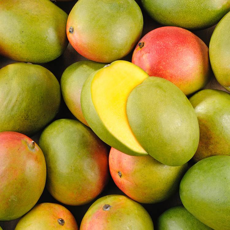 La Mangue