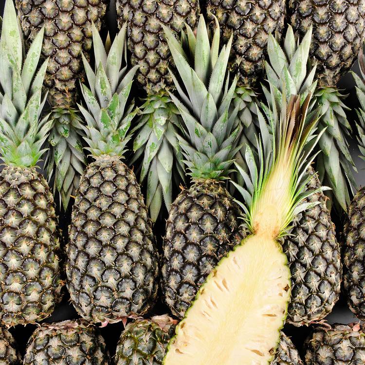 L'Ananas pain-de-sucre
