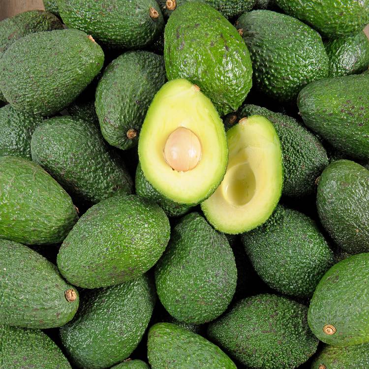 L'Avocat à mûrir