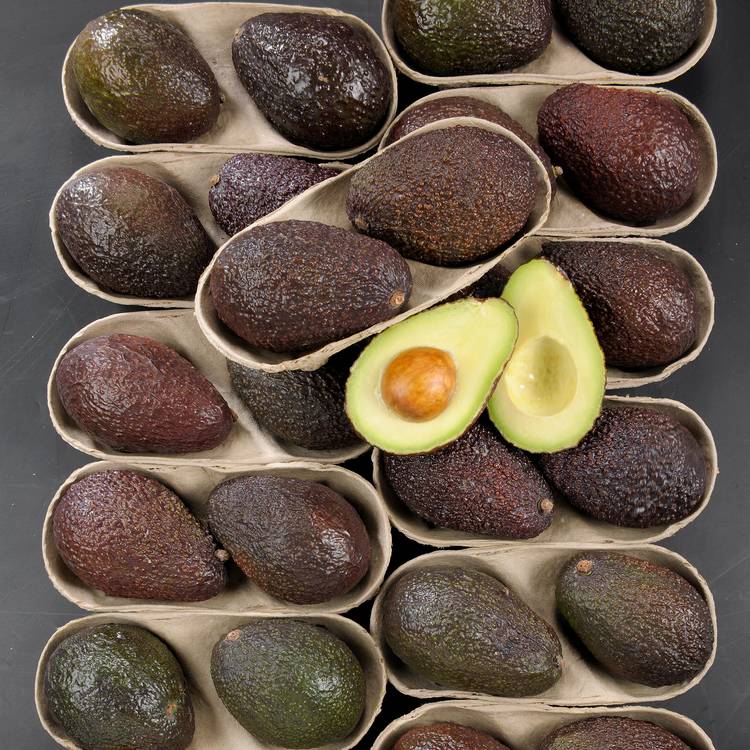 Les 2 Avocats mûrs à point