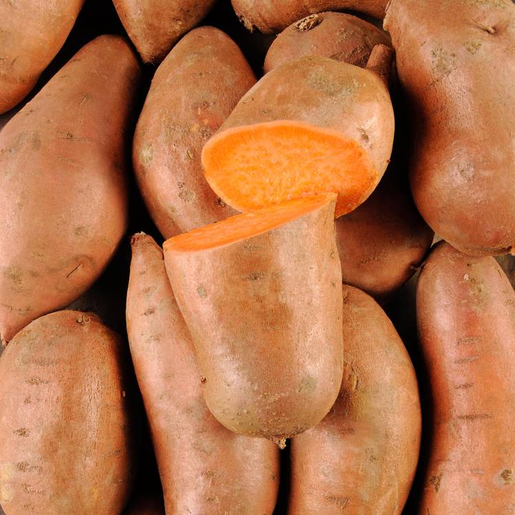 La Patate douce à chair orange