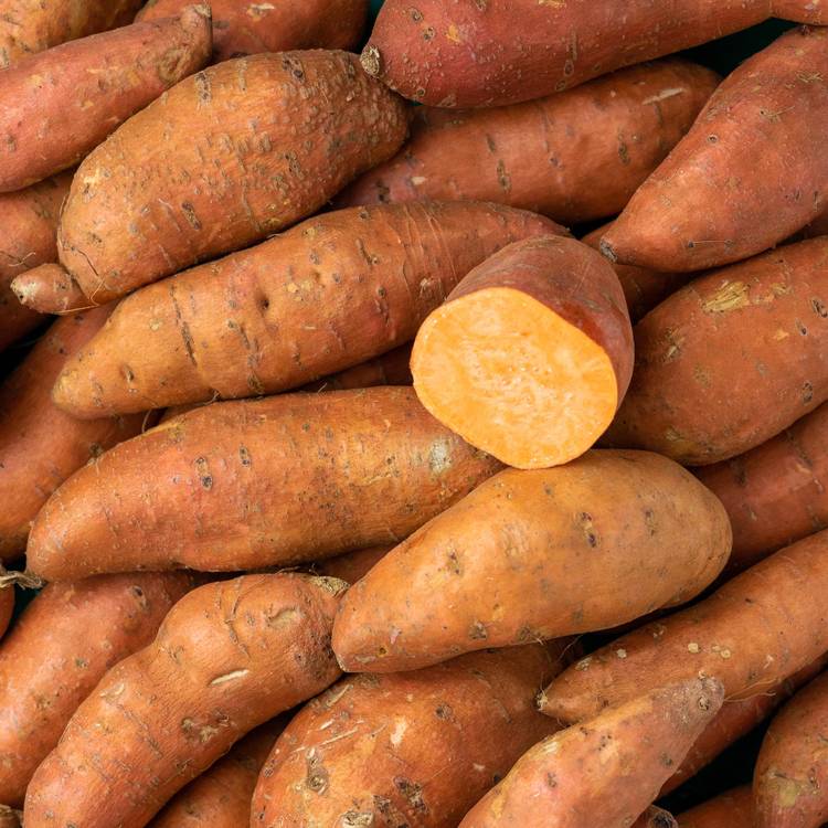 La Patate douce BIO