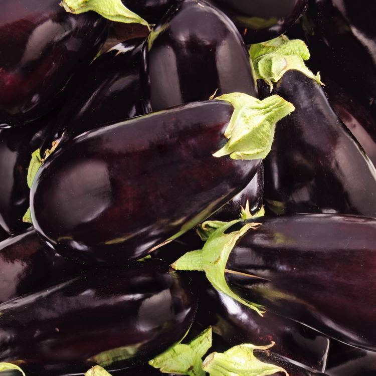 L'Aubergine noire