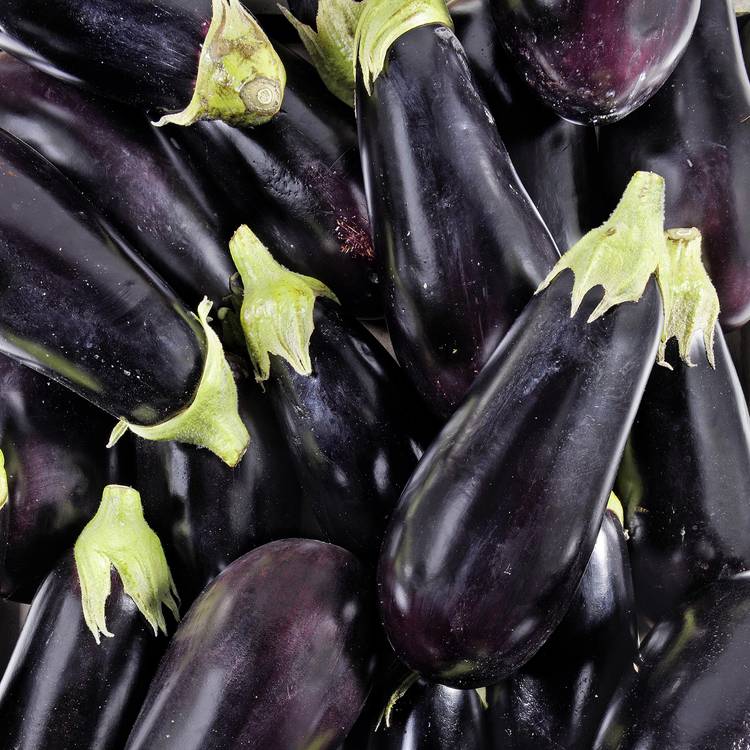 L'Aubergine noire en filet