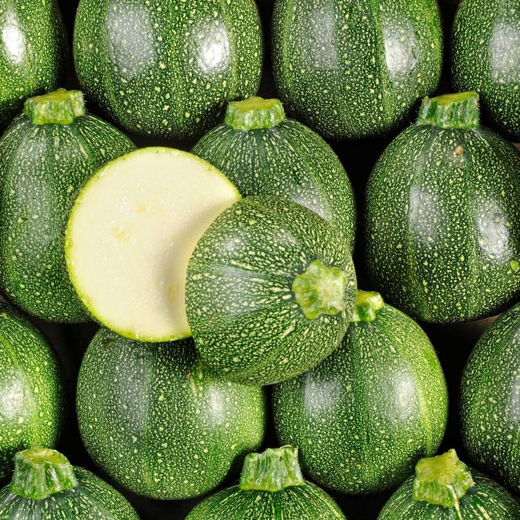 La Courgette ronde