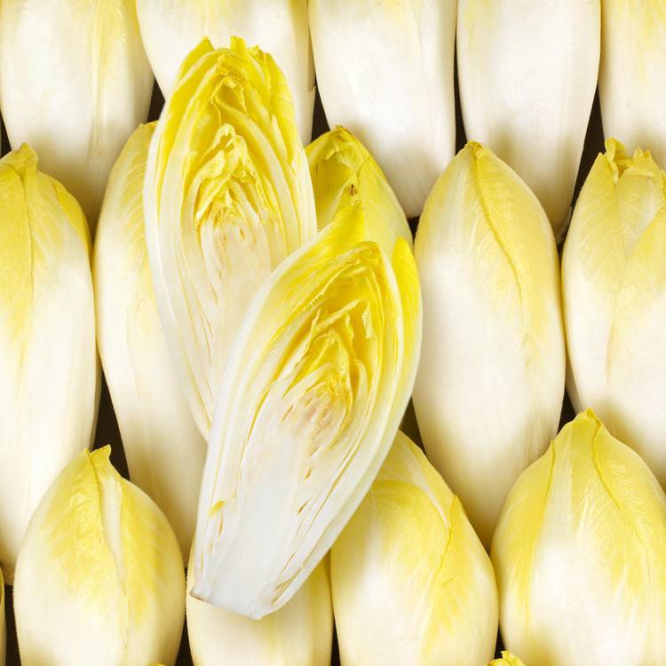 L'Endive