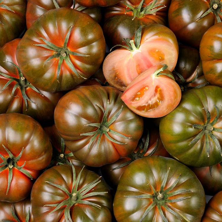 La Tomate noire de Crimée - Sélection variété ancienne