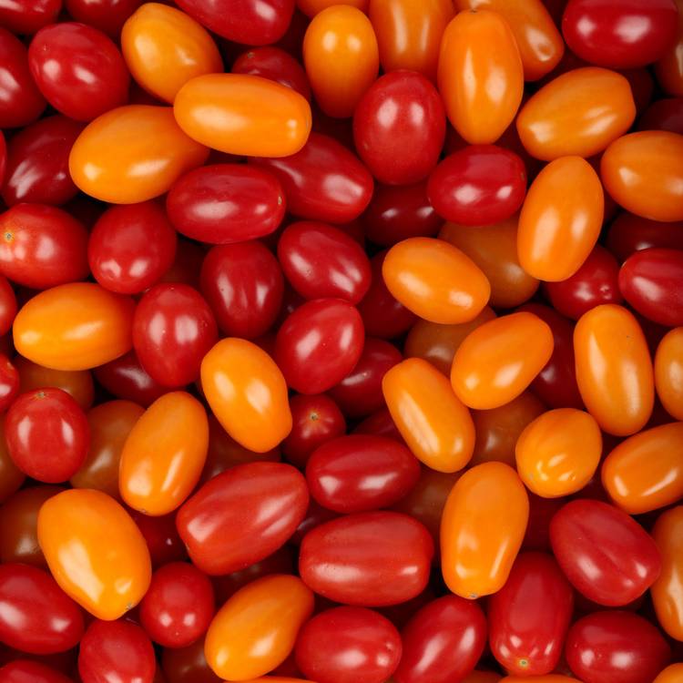 Le Panaché de tomates cerise