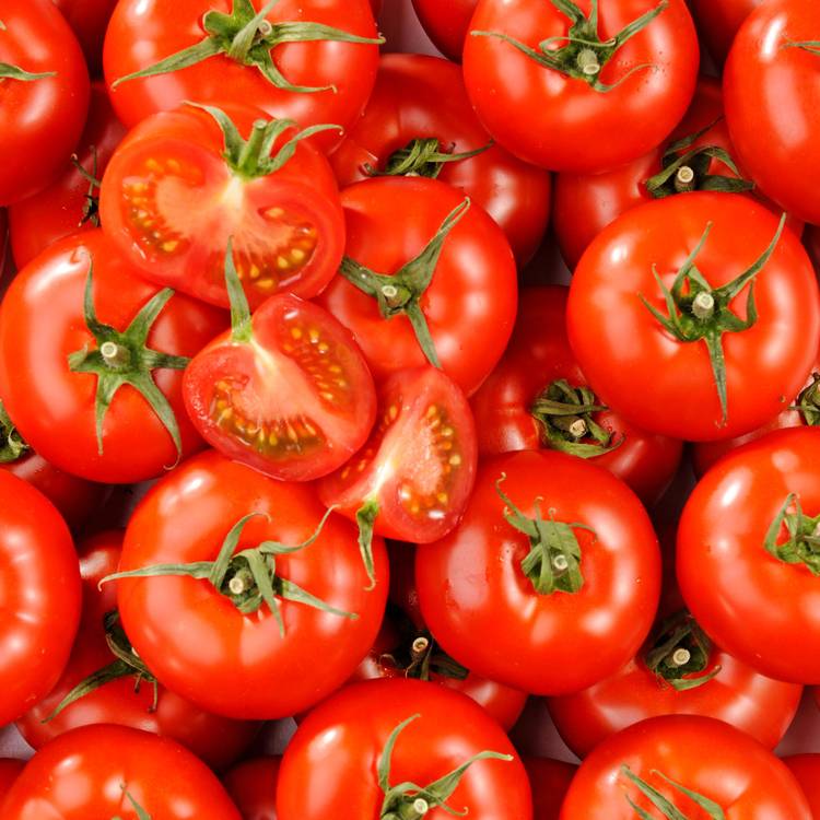 La Tomate rouge divinina HVE
