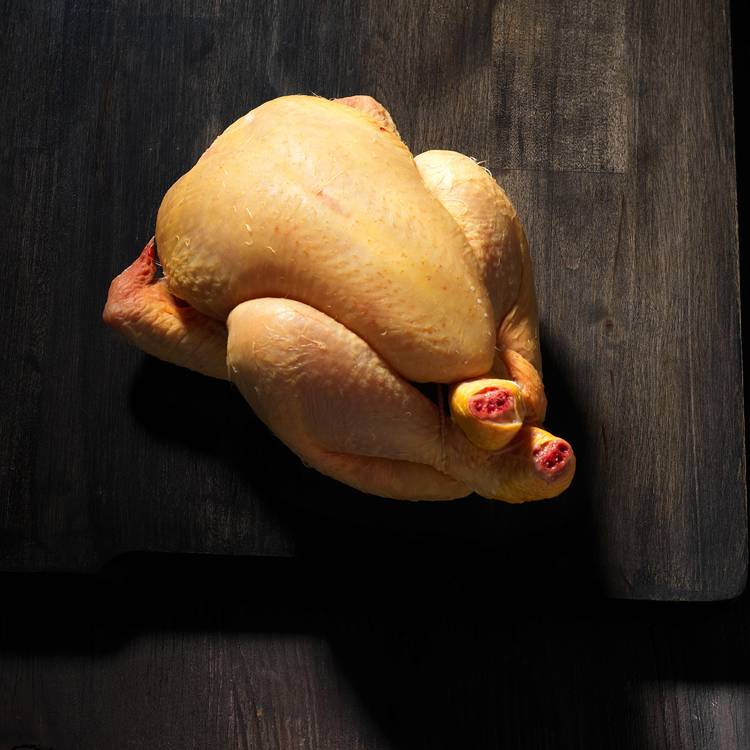Le Coquelet