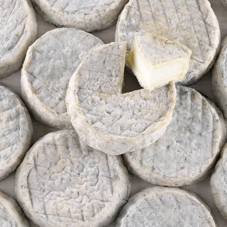 Le Selles sur Cher AOP crémeux