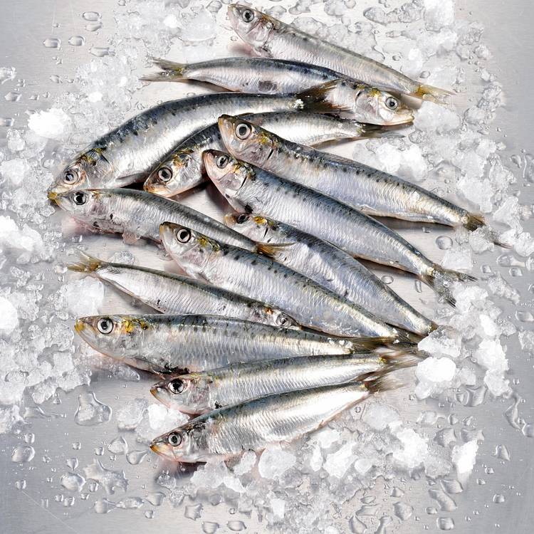 Les Sardines entières