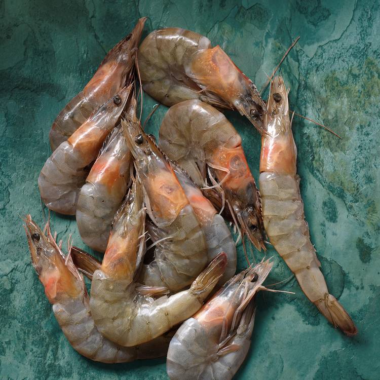 Les Gambas crues 16/20