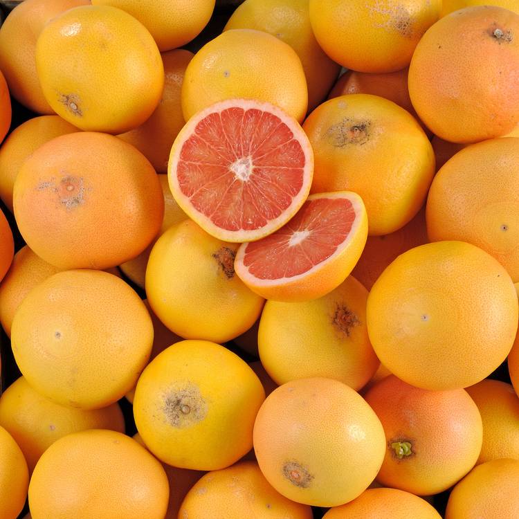 Le Pomelo rouge Corse BIO