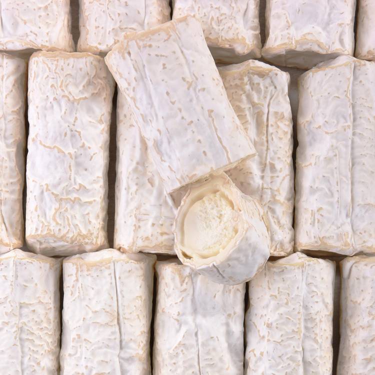 La Buche de chèvre BIO