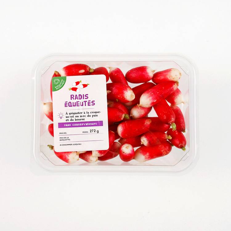 Le Radis rose équeuté