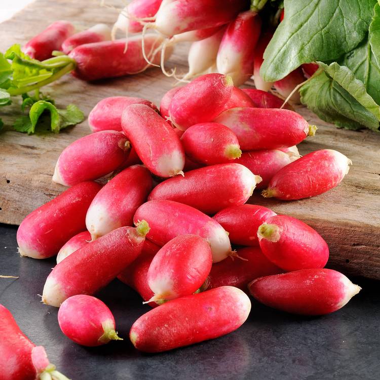 Le Radis rose équeuté