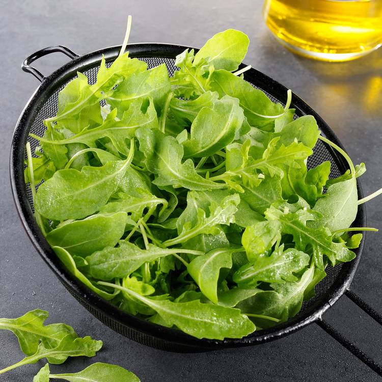 La Roquette
