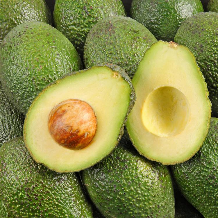 L'Avocat mûr à point