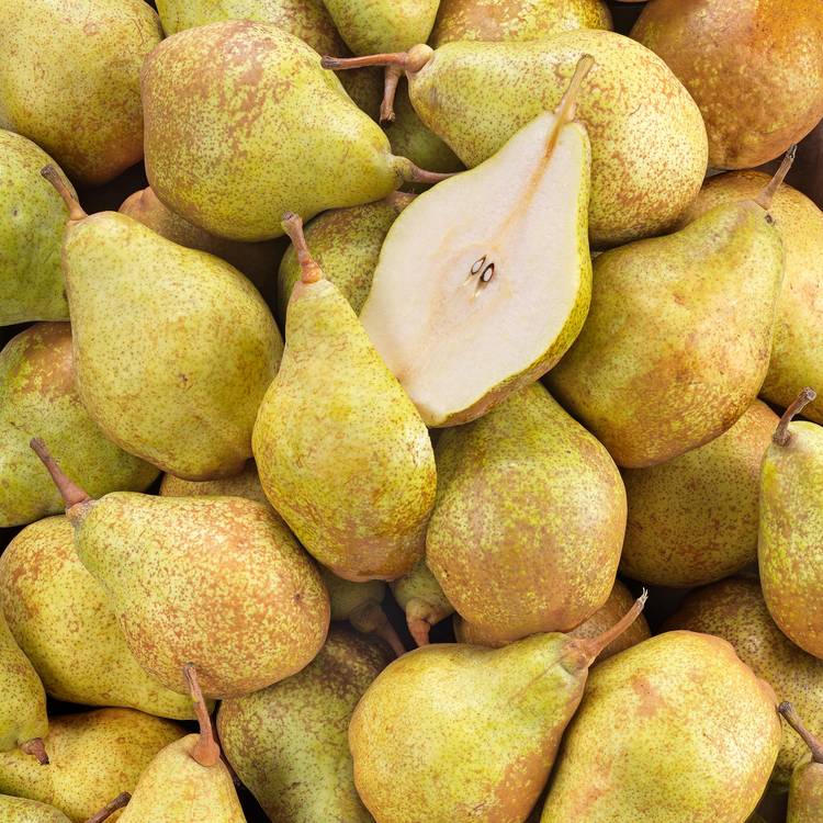 La Poire xenia  BIO