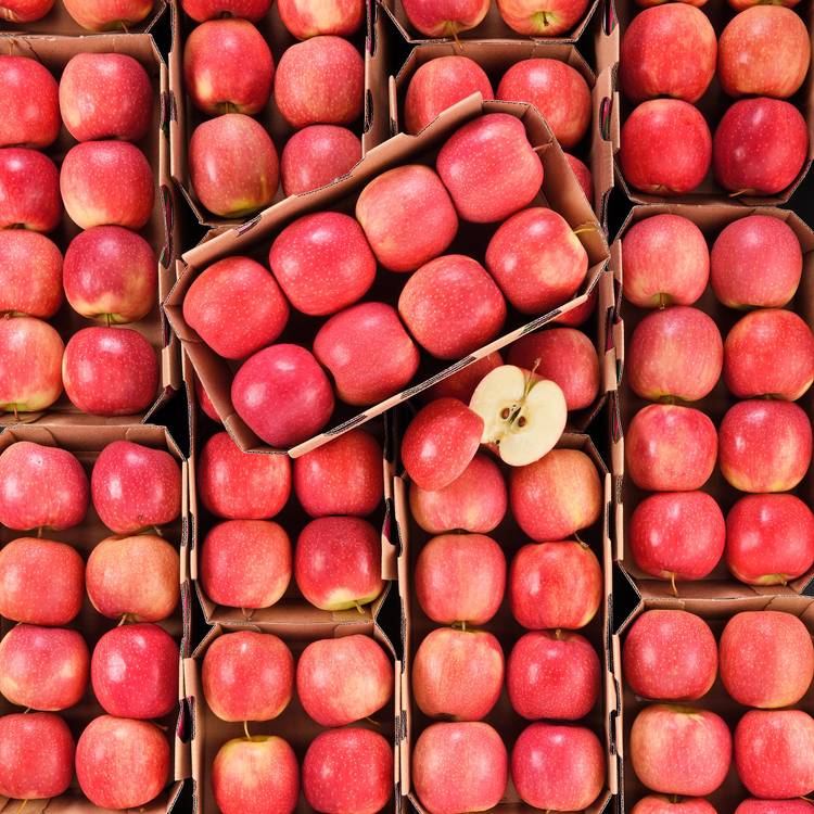 La Pomme pink lady en barquette