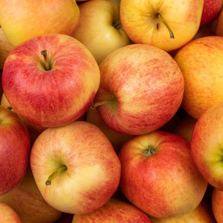 La Pomme Jazz
