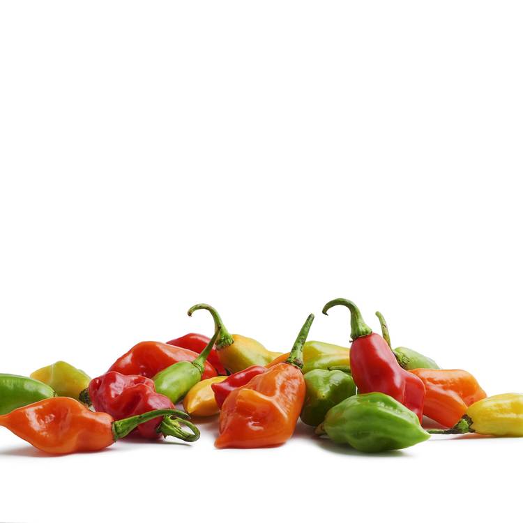Le Piment antillais