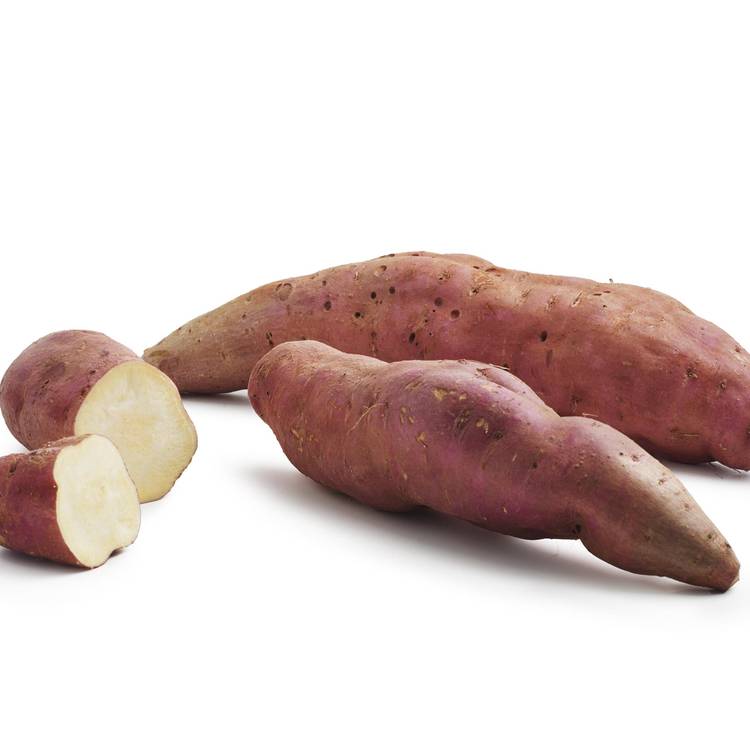 La Patate douce à chair blanche