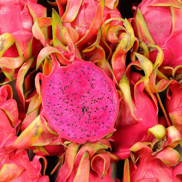 Le Pitaya rouge (ou Fruit du Dragon rouge)