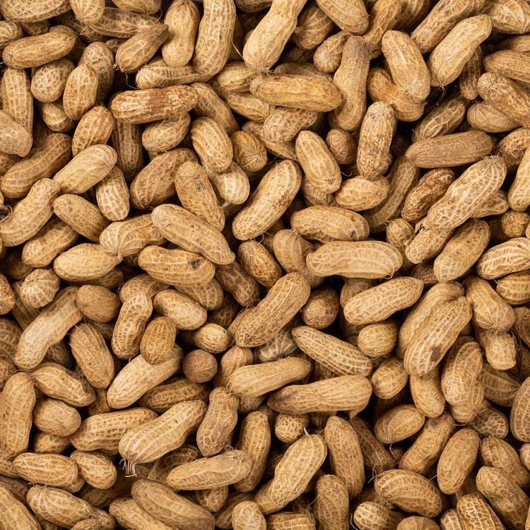 La Cacahuète fraîche
