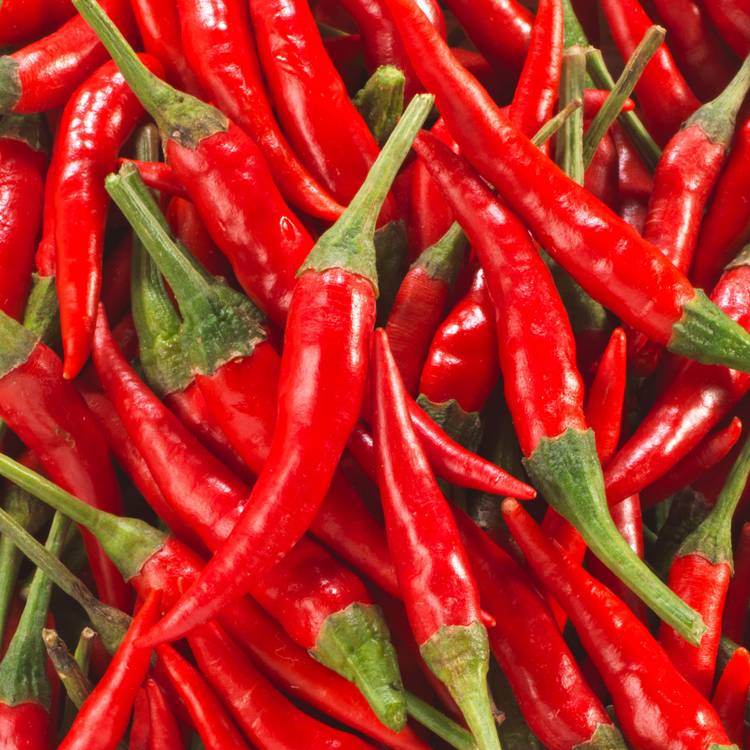 Le Mini-piment rouge thaï