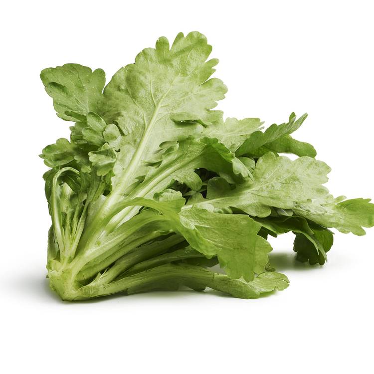 Le Tong Ho (Chrysanthème couronné)