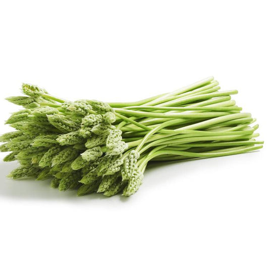 L'Ornithogale ou Asperge des bois