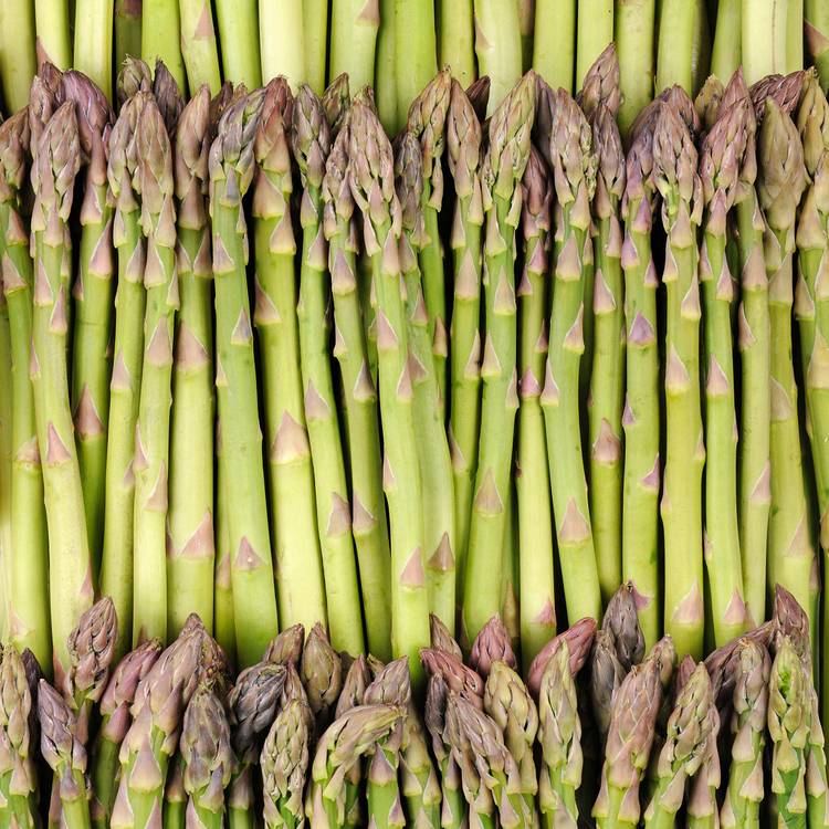 L'Asperge verte en botte