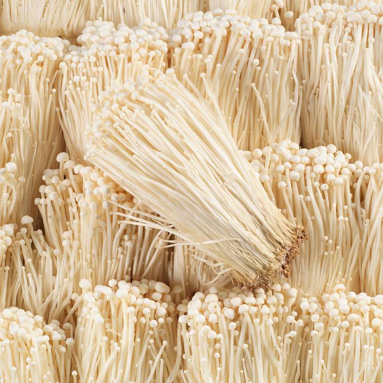 L'Enoki