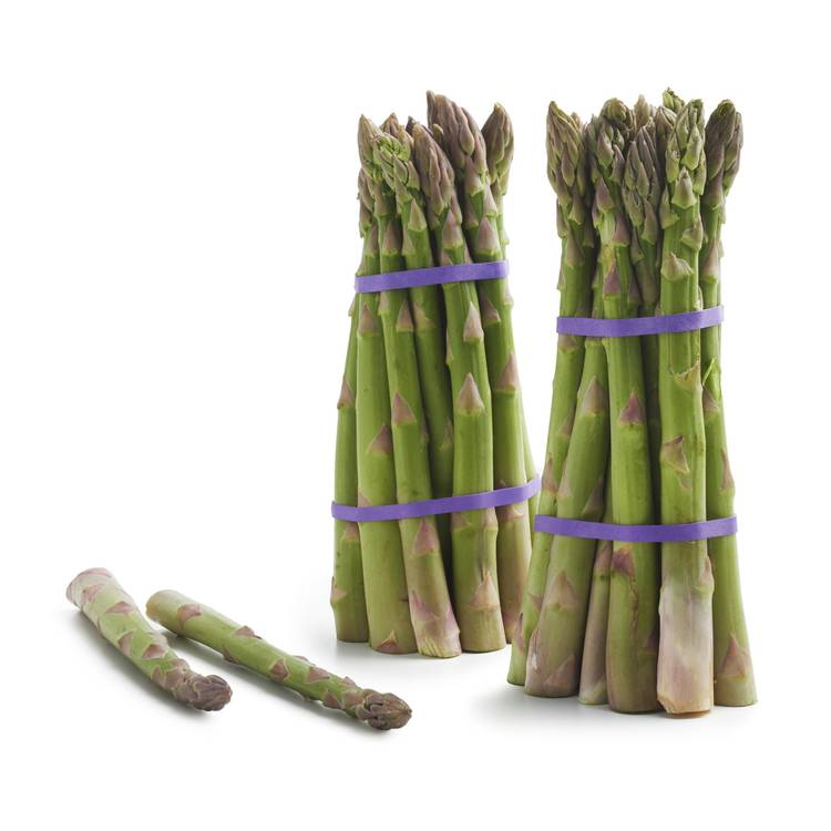 L'Asperge verte en botte BIO
