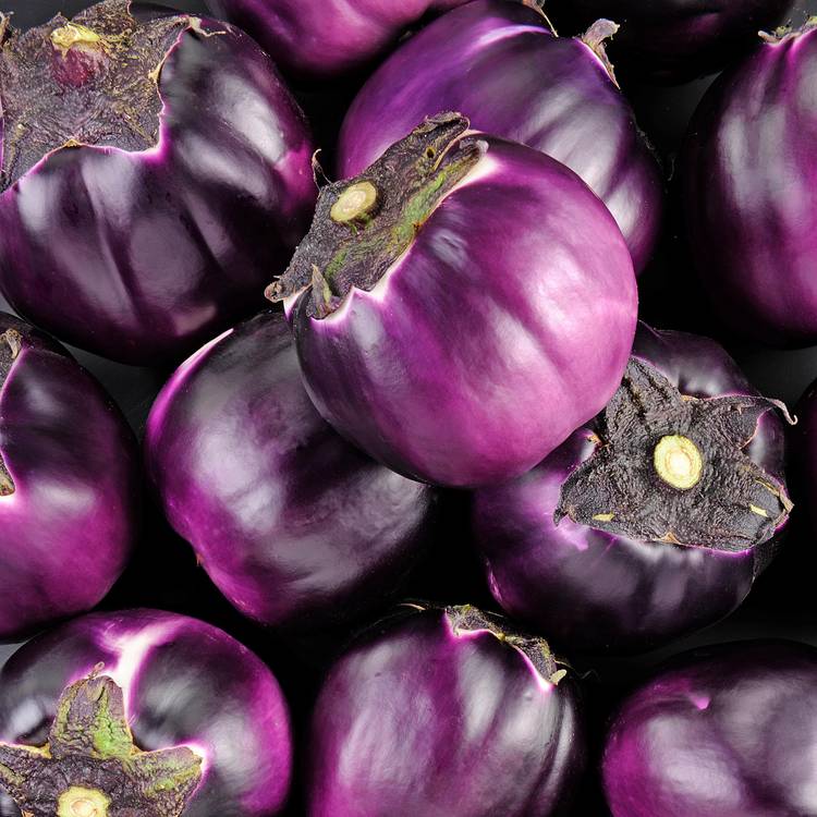 L'Aubergine violette ronde