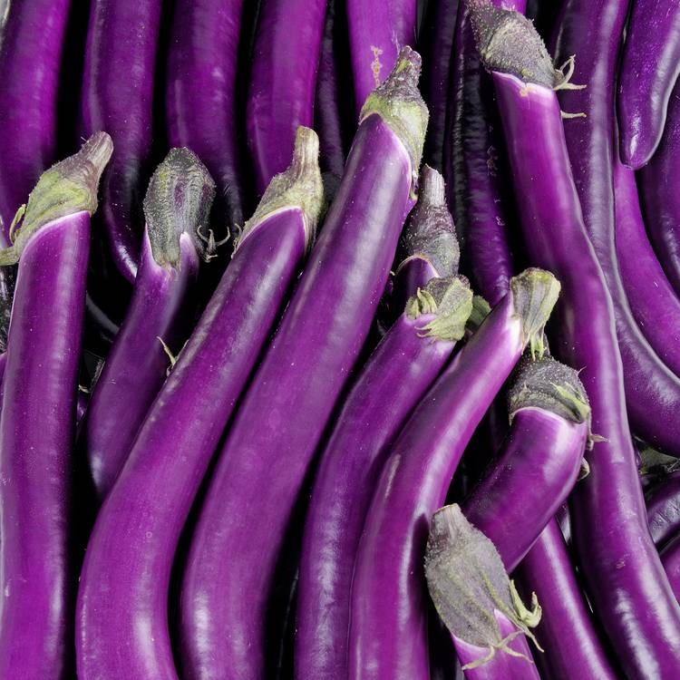 L'Aubergine chinoise