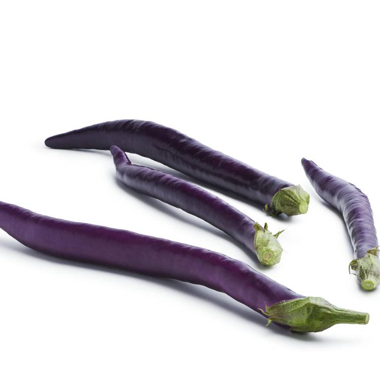 L'Aubergine chinoise