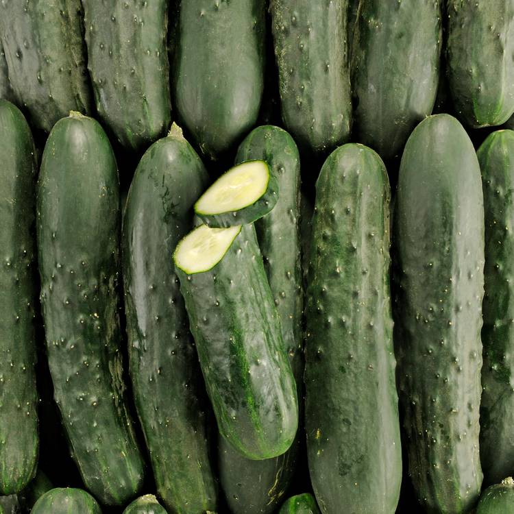 Le Concombre noa BIO