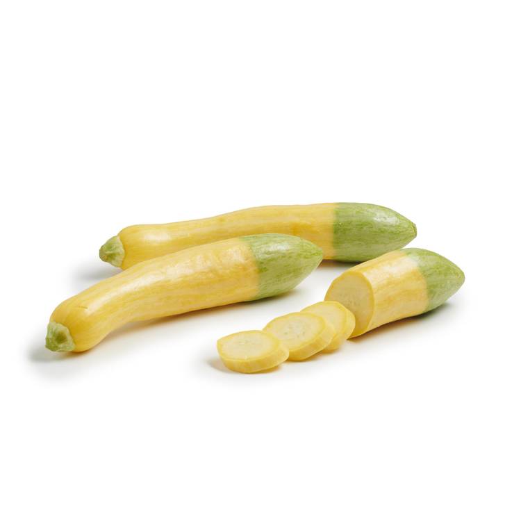 La Courgette zephyr HVE