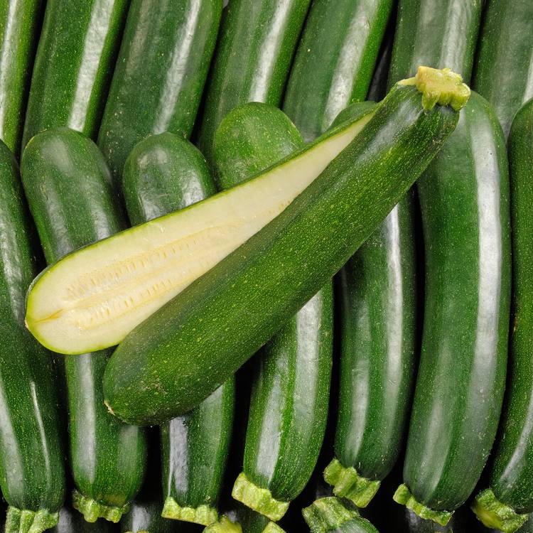 La Courgette verte en filet