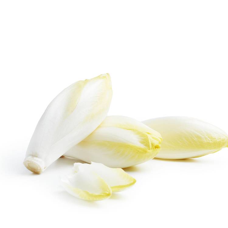 L'Endive