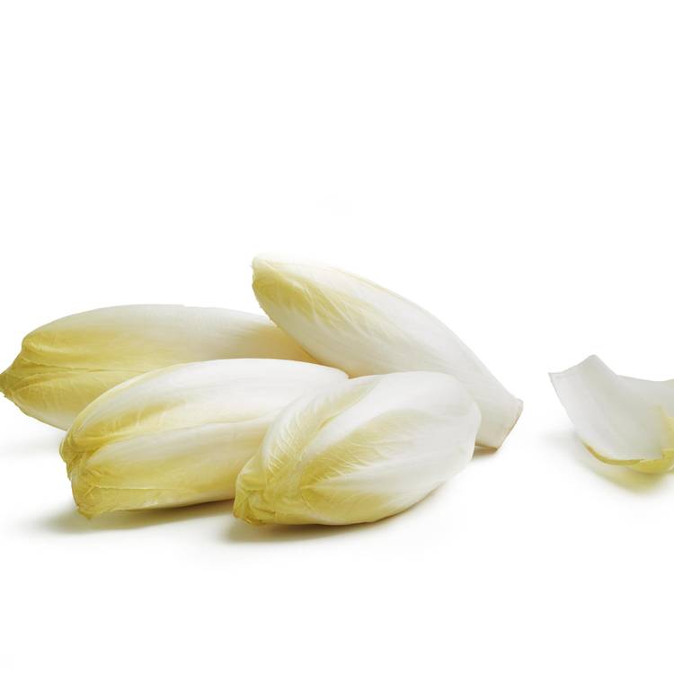 L'Endive de pleine terre en sachet