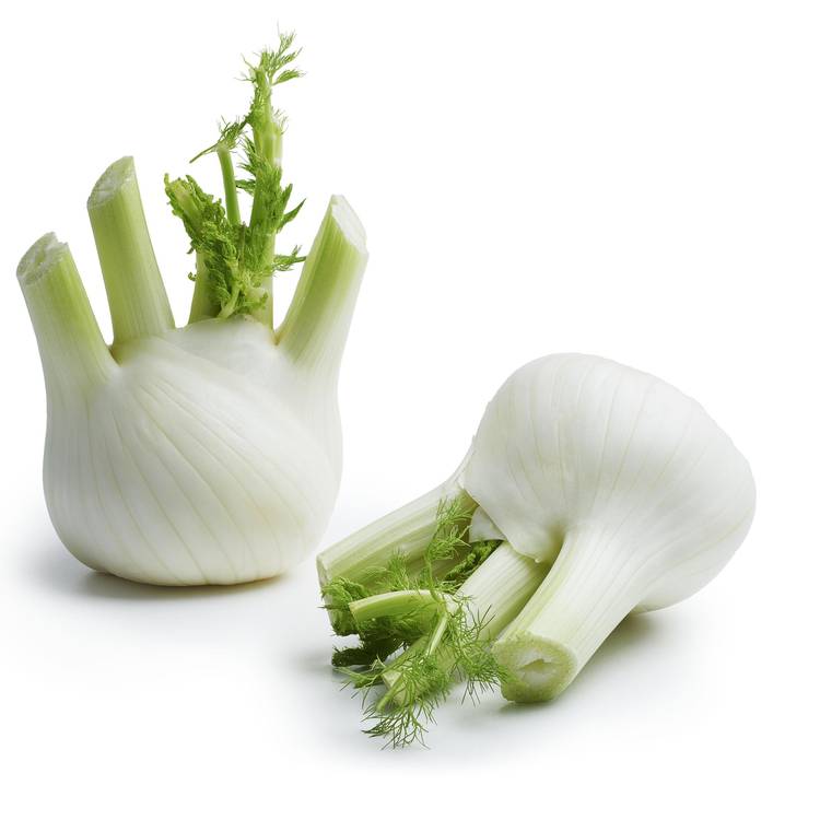 Le Fenouil