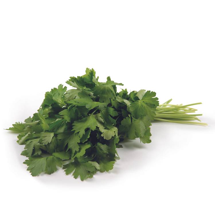 Le Persil plat