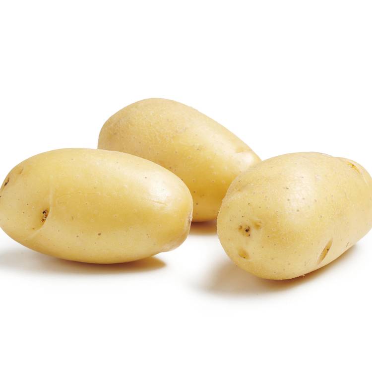 La Pomme de terre de consommation à chair ferme