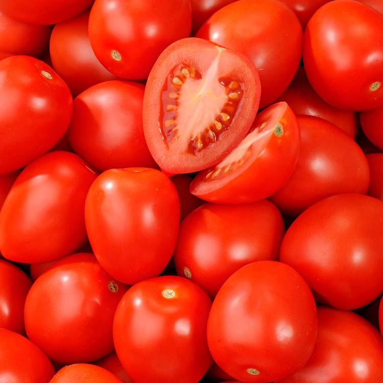La Tomate rouge allongée olivette